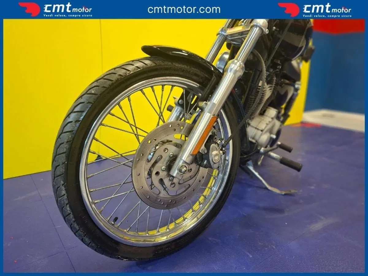 Harley-Davidson 883 Standard (2001 - 05) - XL 883 (12)