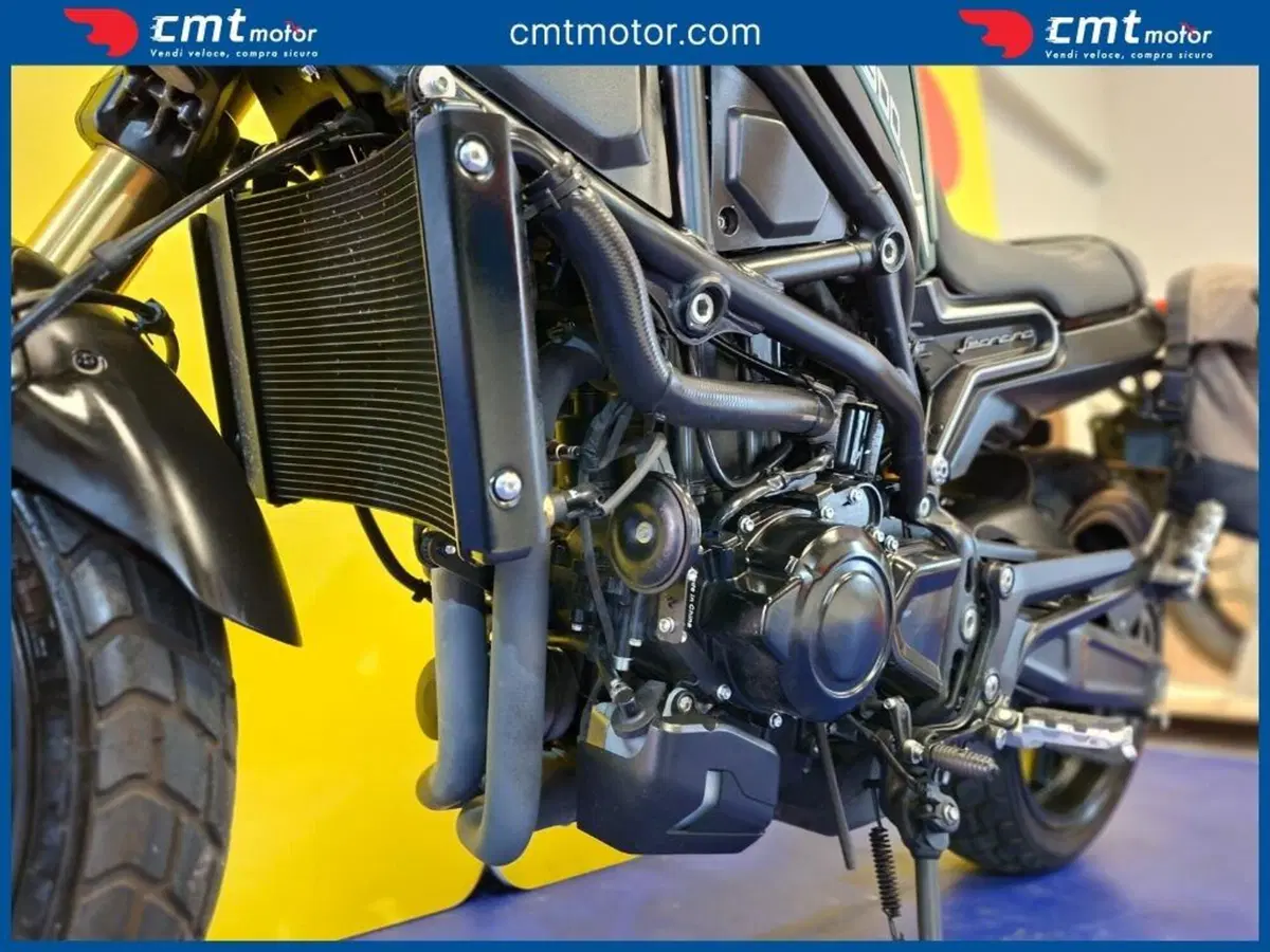 Benelli Leoncino 800 (2022 - 26) (9)