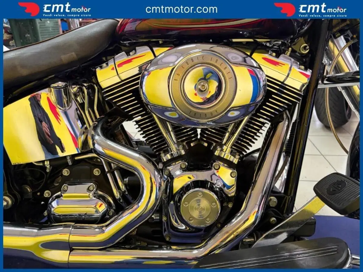 Harley-Davidson 1584 Fat Boy (2008 - 10) - FLSTF (8)