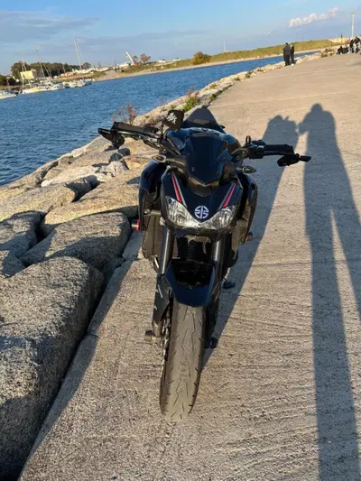 Kawasaki Z 900 Performance (2019) usata