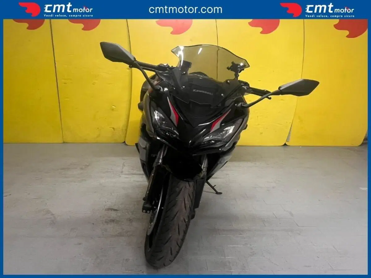 Kawasaki Ninja 1000 SX (2021 - 24) (2)