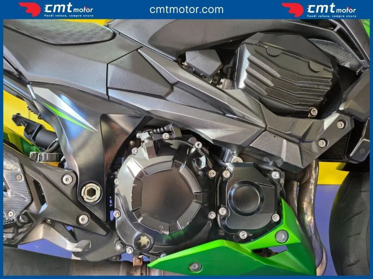 Kawasaki Z 800 e ABS (2012 - 16) (12)