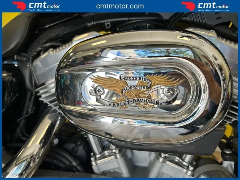 Harley-Davidson 883 Custom (2008 - 12) - XL 883C (9)