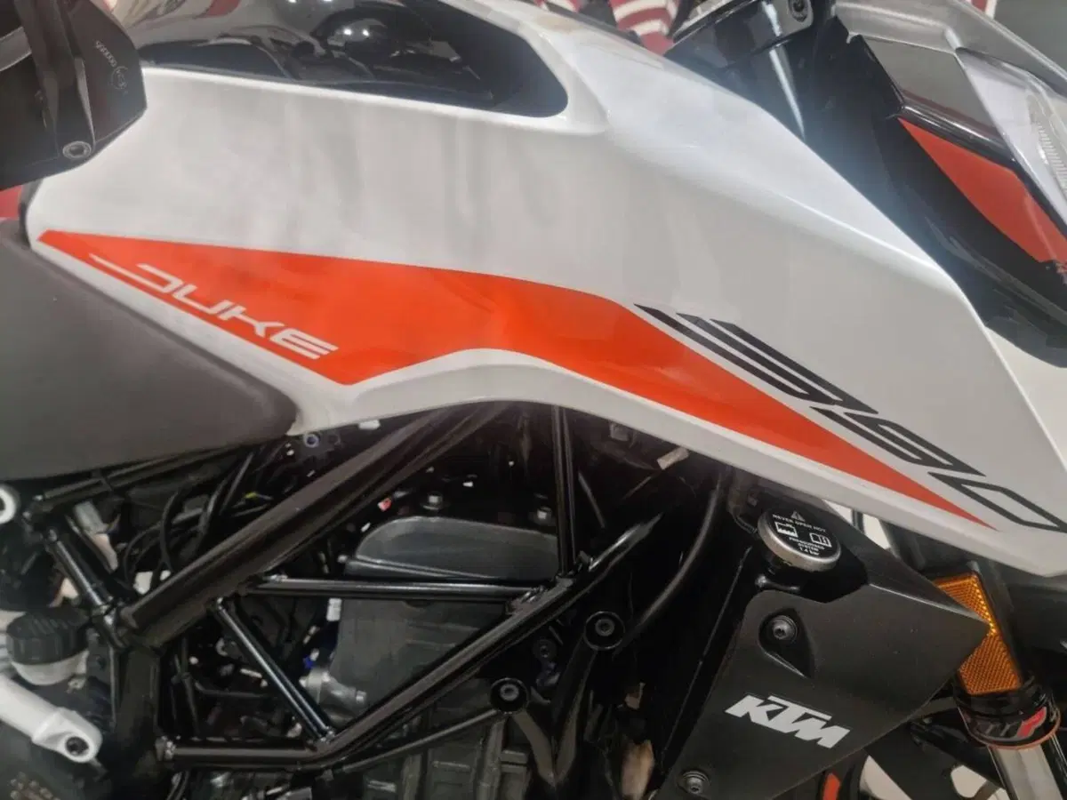 KTM 390 Duke (2021 - 23) (5)