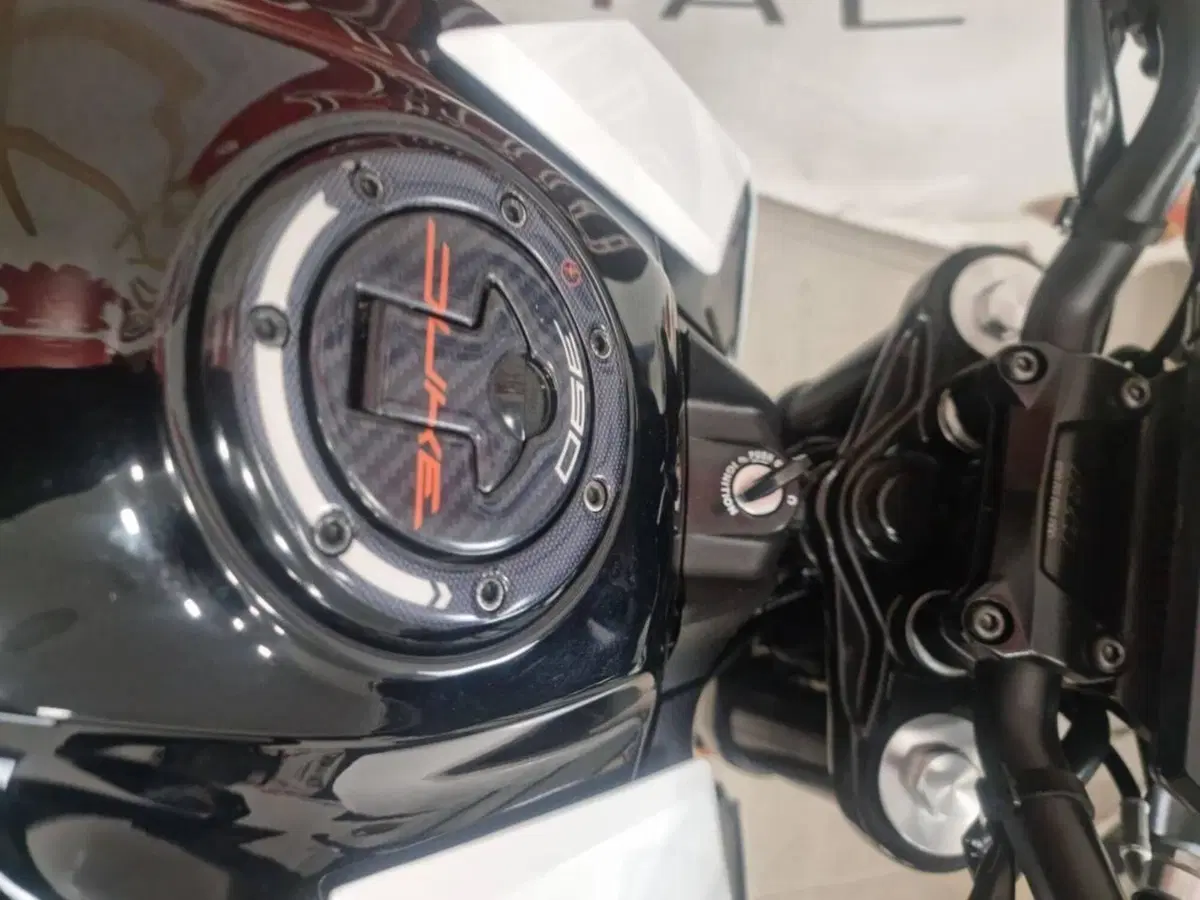 KTM 390 Duke (2021 - 23) (8)