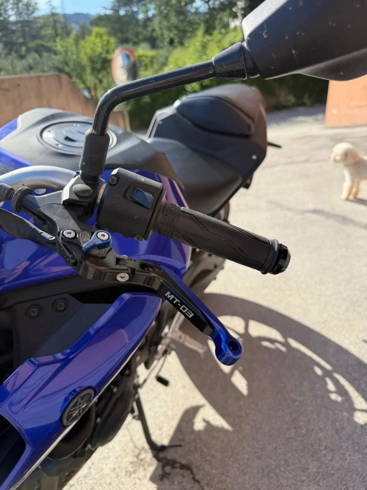 Yamaha MT-03 (2020) (7)