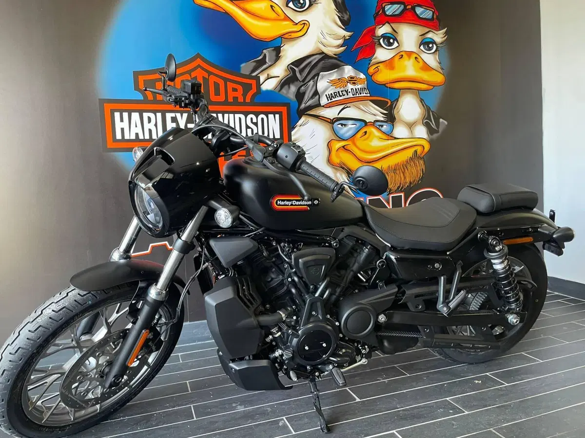 Harley-Davidson Nightster Special (2023 - 26) (2)