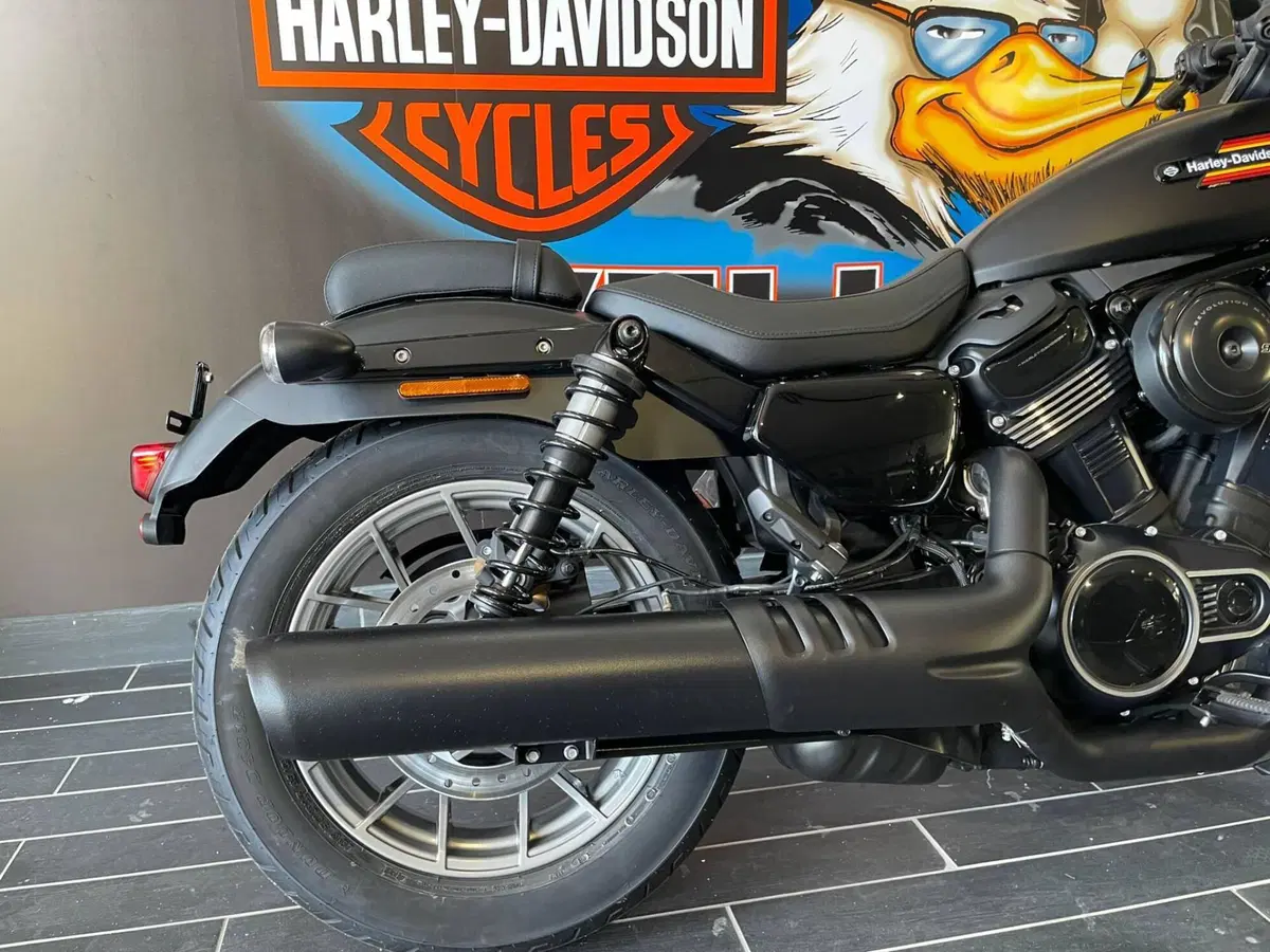 Harley-Davidson Nightster Special (2023 - 26) (4)