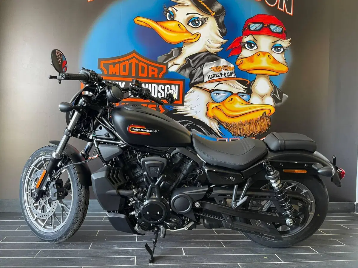 Harley-Davidson Nightster Special (2023 - 26) (9)