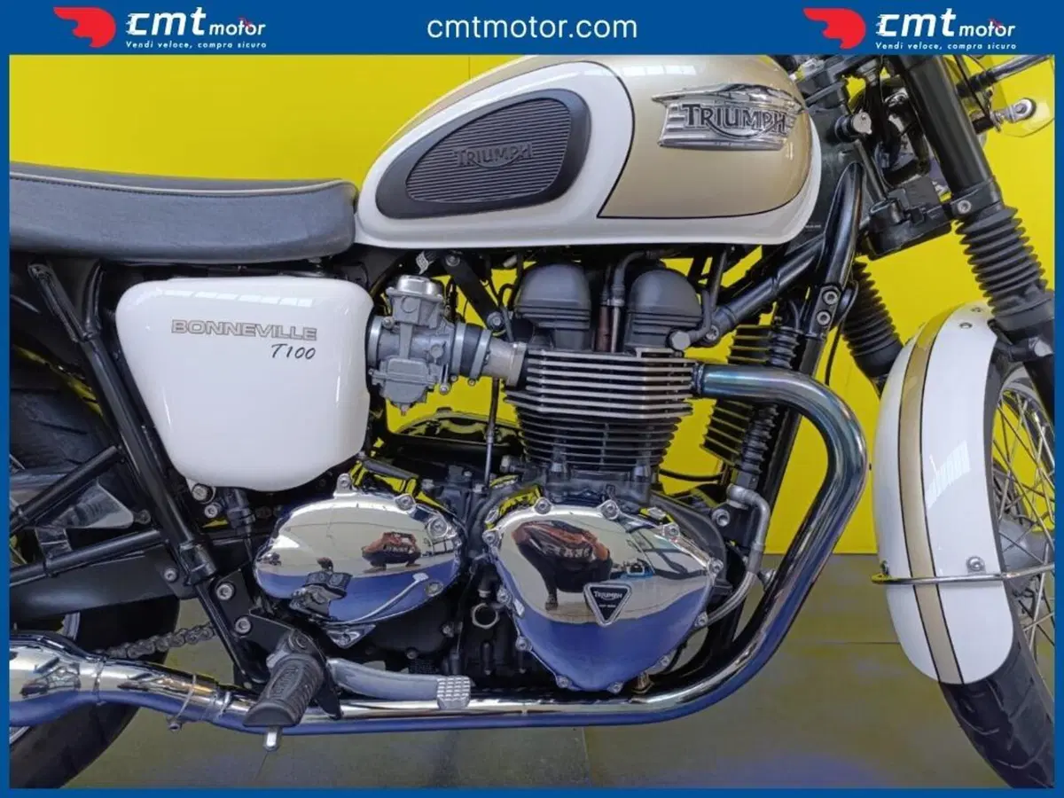 Triumph Bonneville T100 (2008 - 16) (6)
