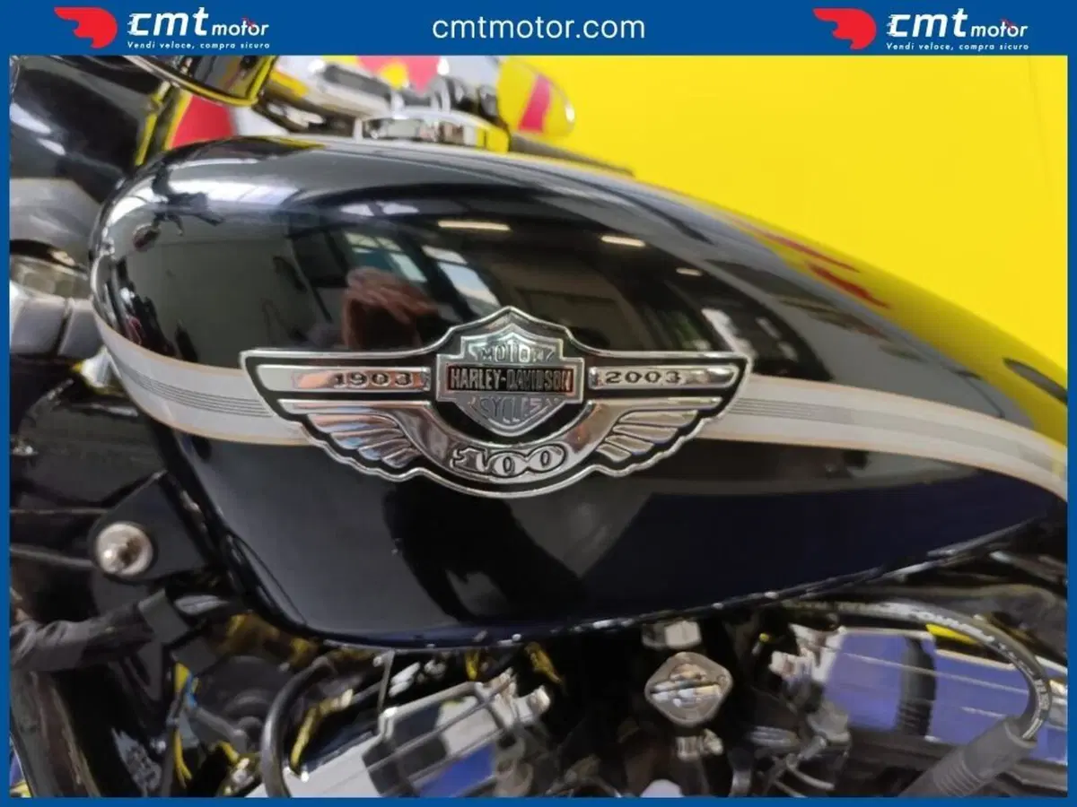 Harley-Davidson 1200 Custom (2001 - 03) - XL 1200C (6)