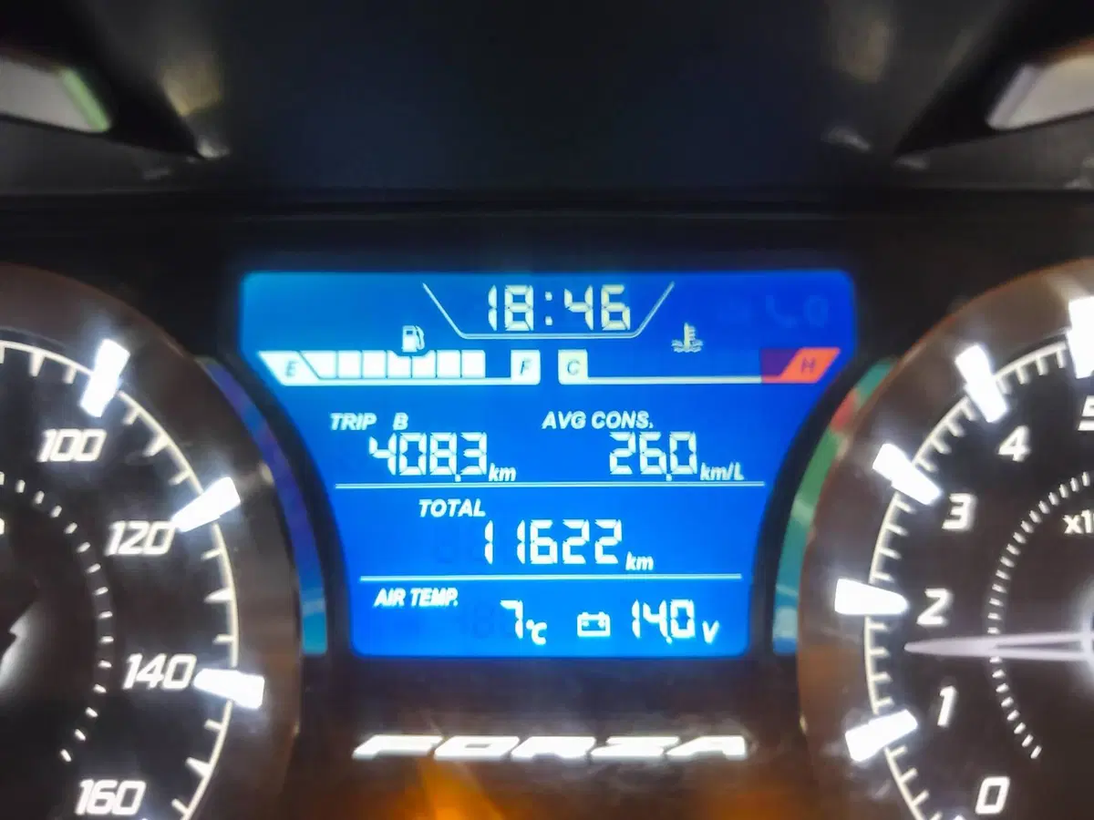Honda Forza 350 (2022 - 24) (6)