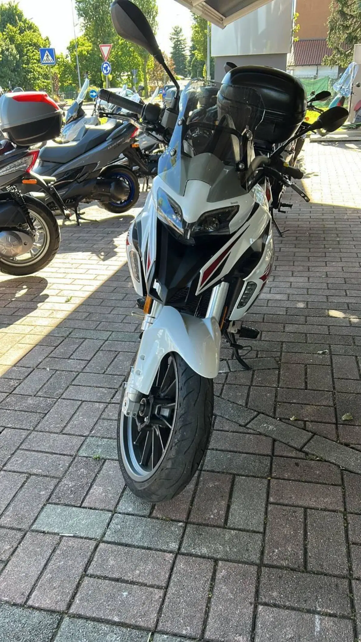 Benelli TRK 251 (2019 - 20)