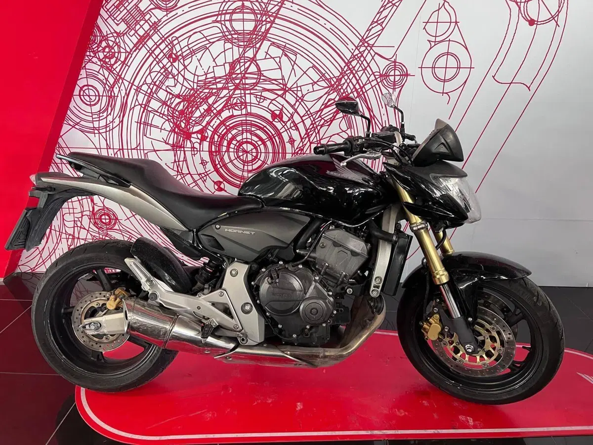 Honda Hornet 600 (2007 - 10)