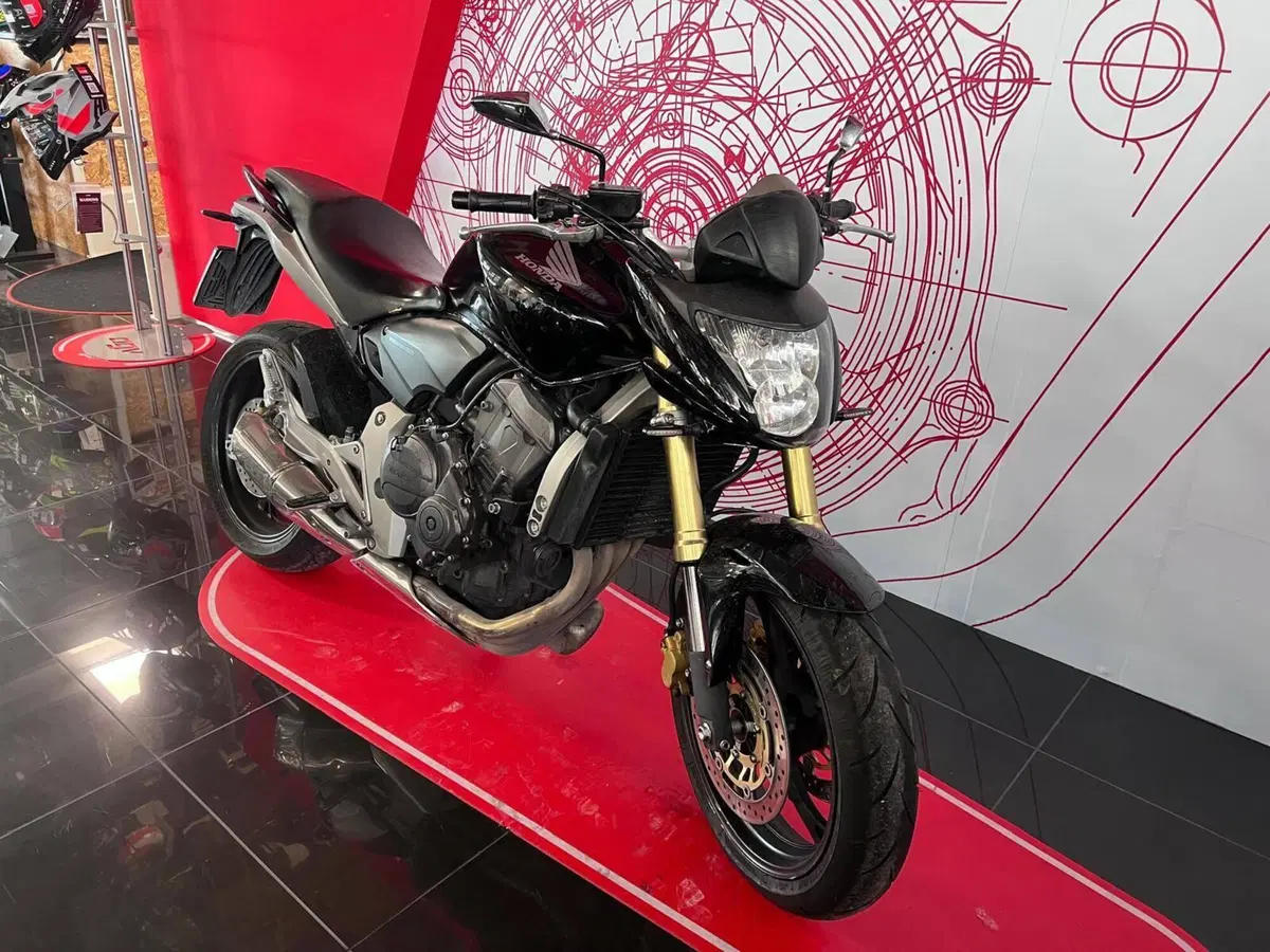 Honda Hornet 600 (2007 - 10) (2)