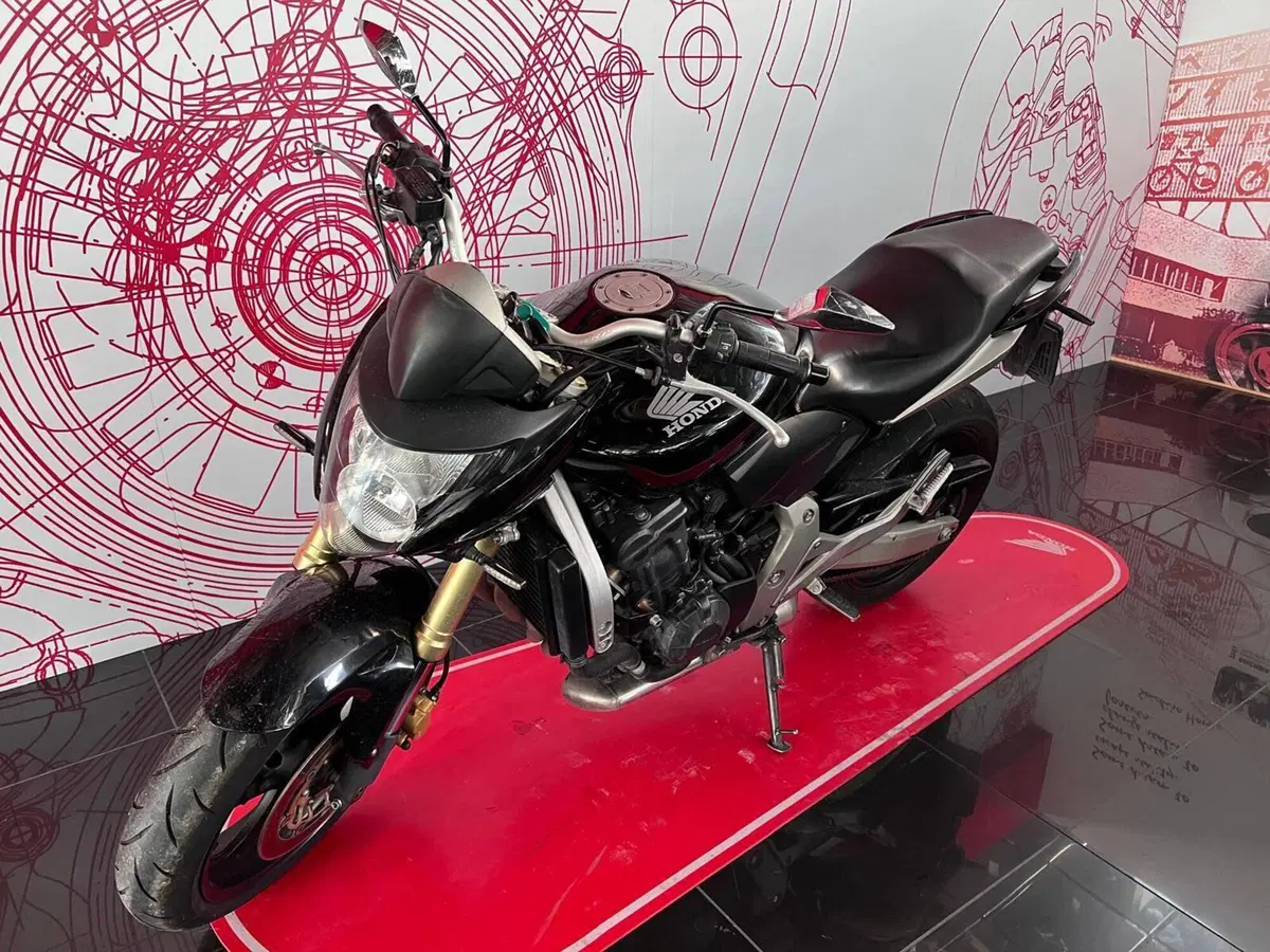 Honda Hornet 600 (2007 - 10) (5)