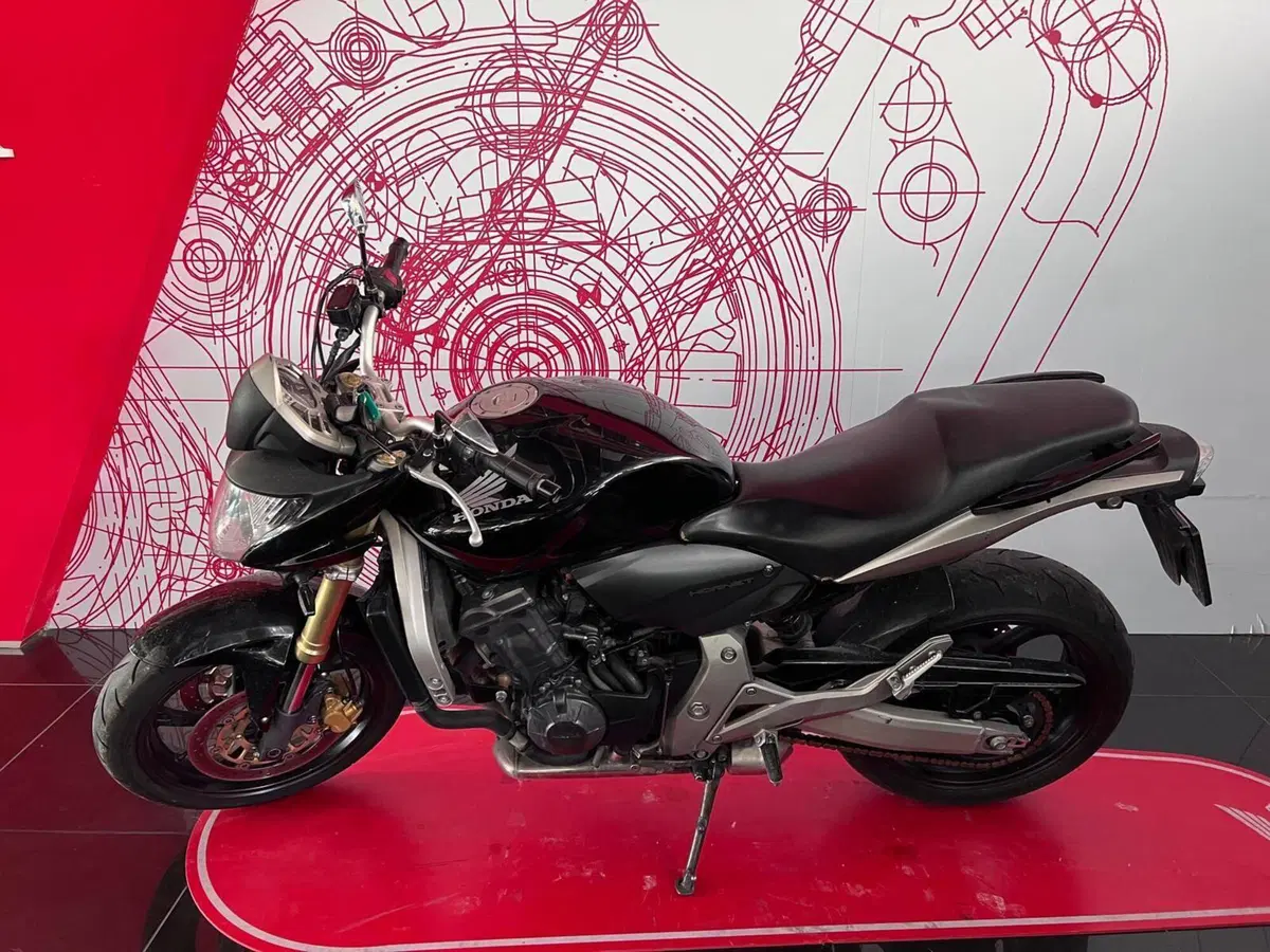 Honda Hornet 600 (2007 - 10) (6)