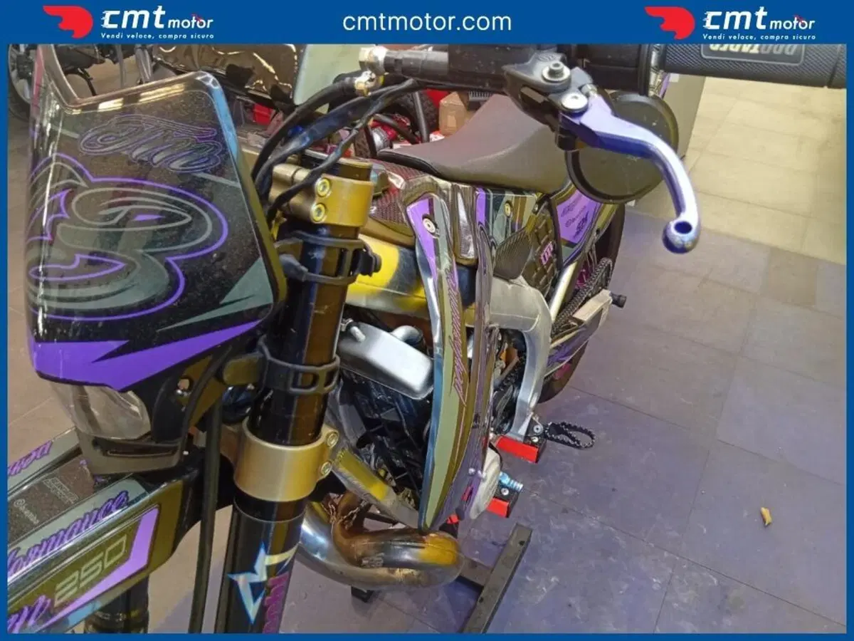 Tm Moto EN 250 (2008 - 09) (8)