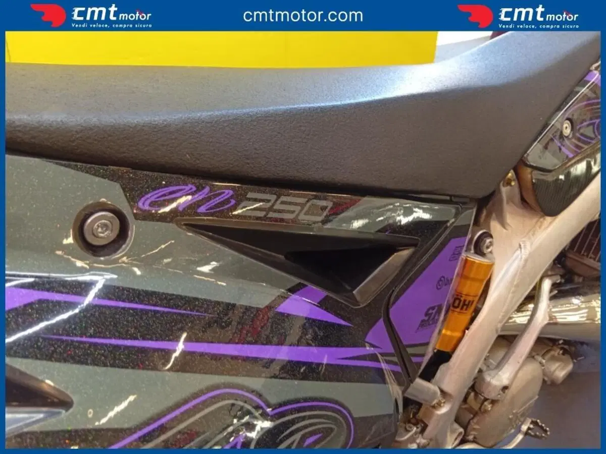 Tm Moto EN 250 (2008 - 09) (9)
