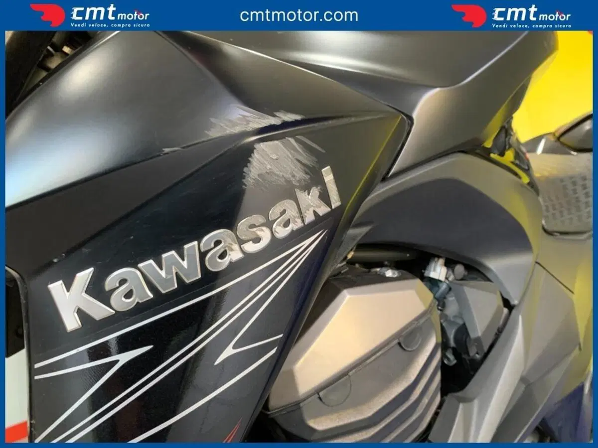 Kawasaki Z 800 (2012 - 13) (8)
