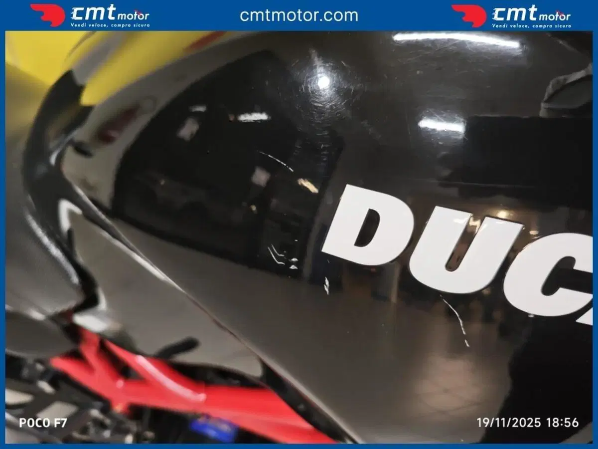 Ducati Monster 695 (2006 - 08) (11)
