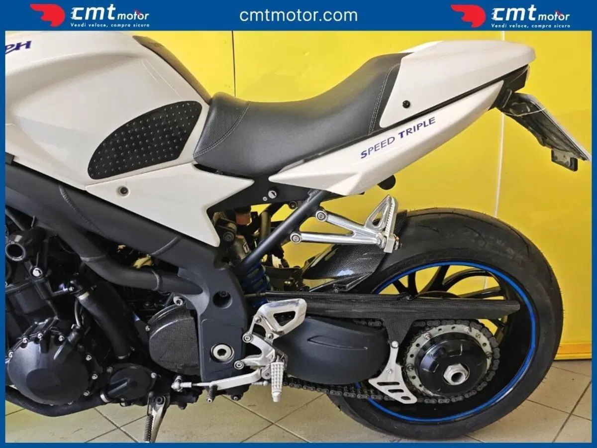 Triumph Speed Triple 1050 (2005 - 11) (7)