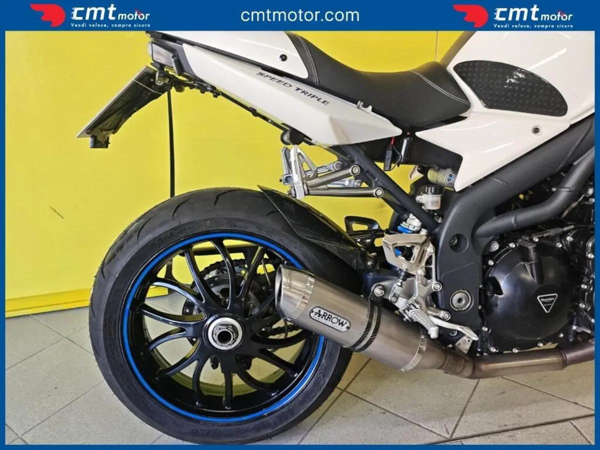 Triumph Speed Triple 1050 (2005 - 11) (9)