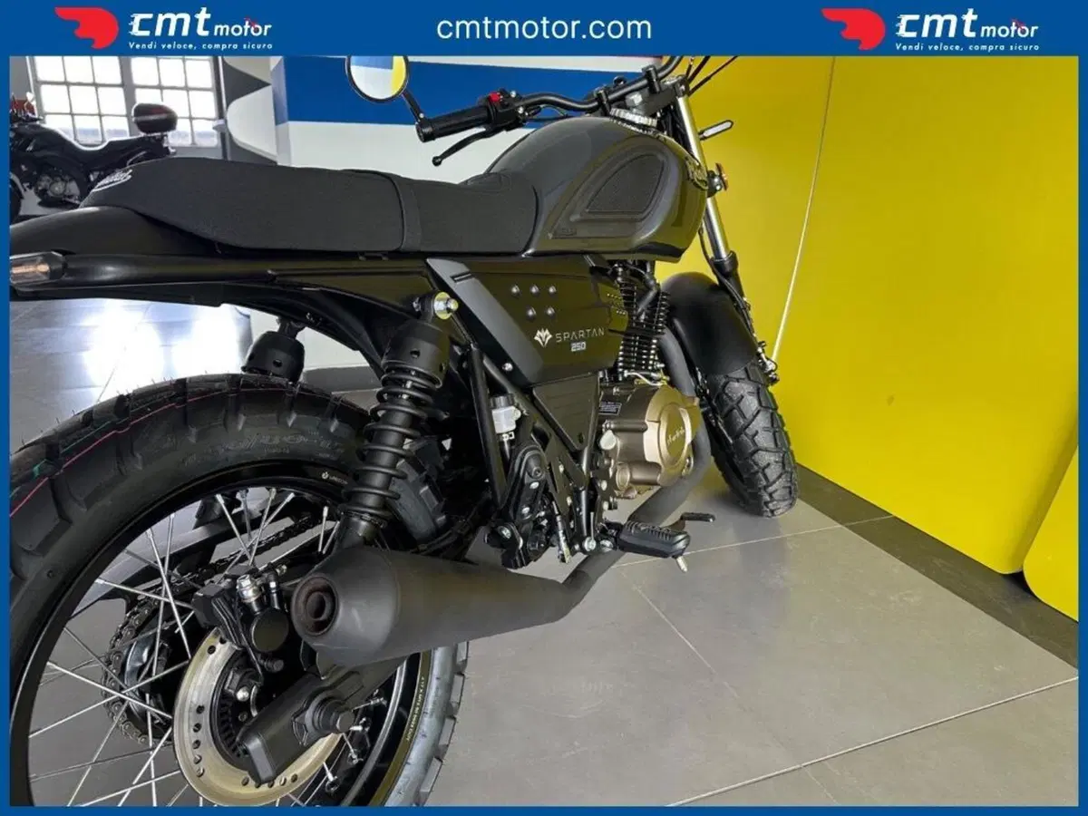 FB Mondial Spartan 250 (2024) (8)