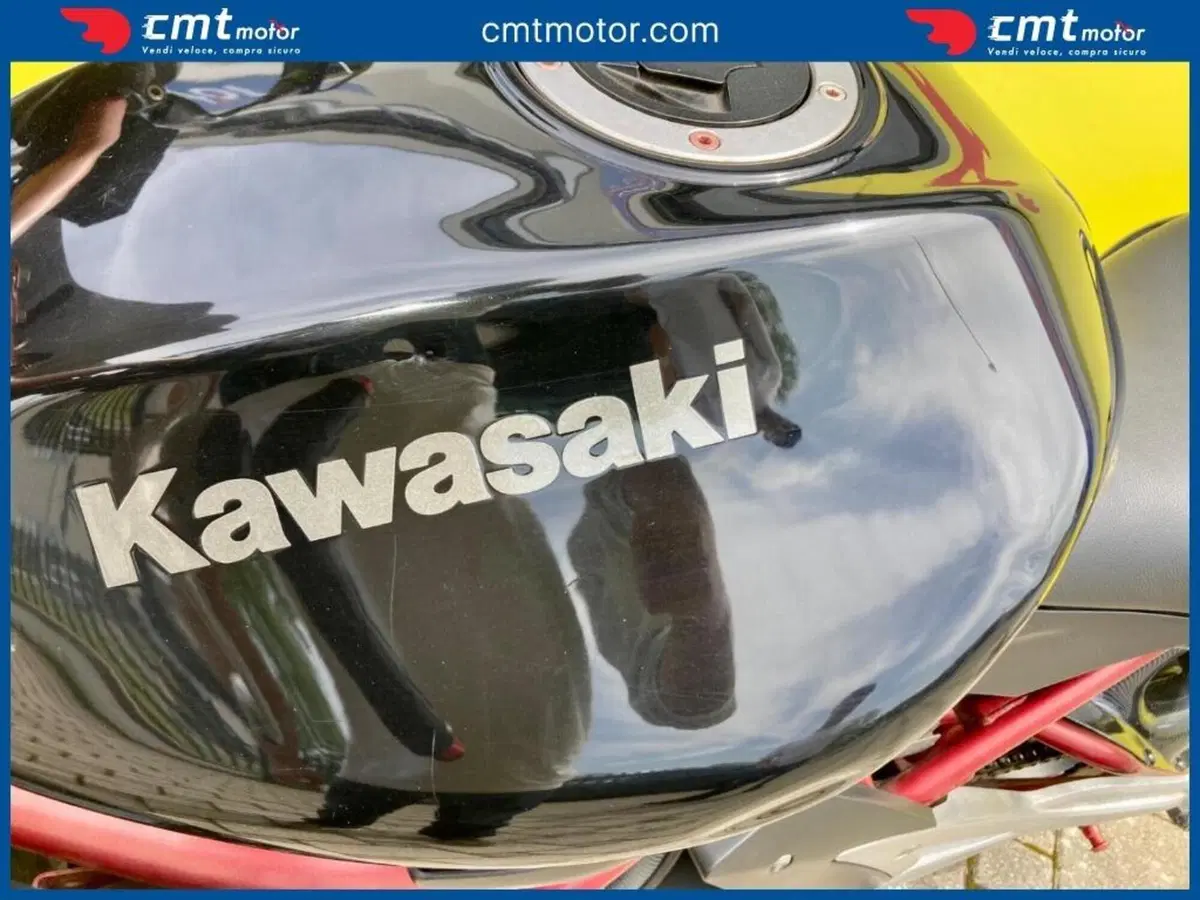 Kawasaki ER-6N (2006 - 09) (7)