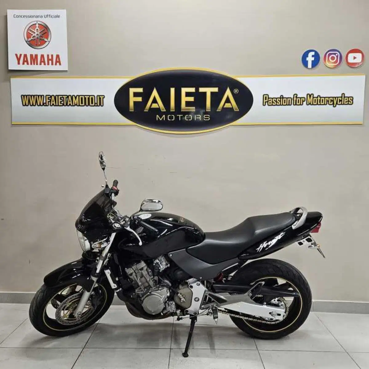 Honda Hornet 600 (2000 - 02)