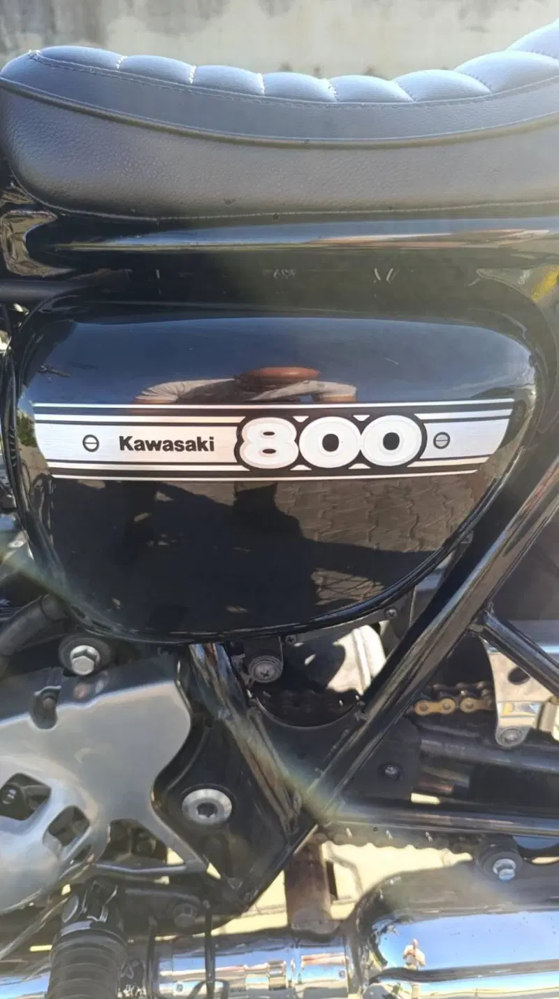 Kawasaki W 800 (2010 - 17) (4)