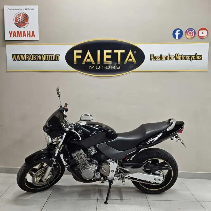 Honda Hornet 600 (2000 - 02)