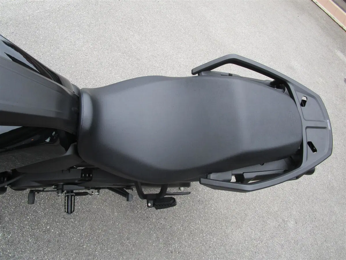 Harley-Davidson Pan America 1250 Special (2020 - 25) (7)