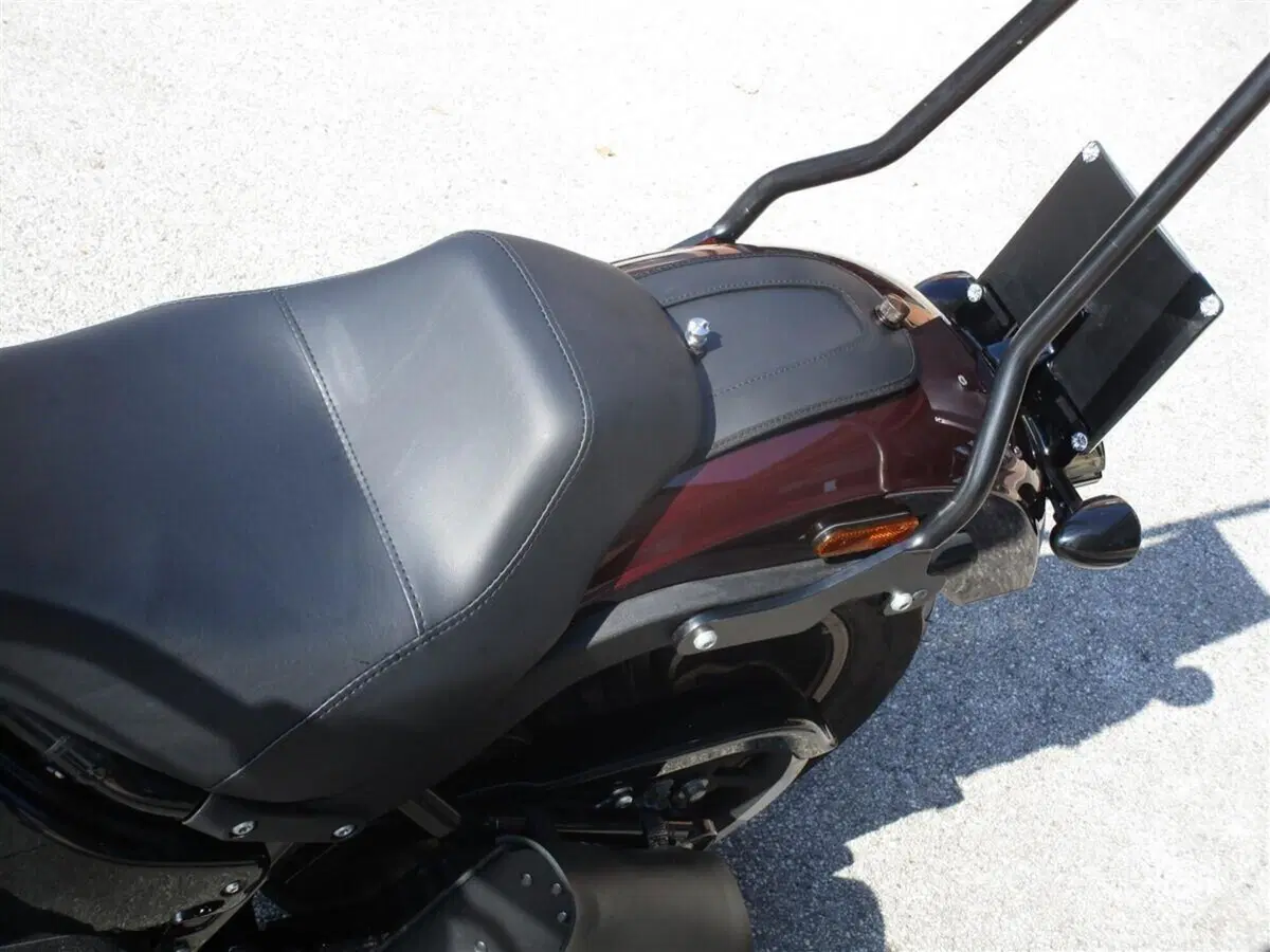 Harley-Davidson 114 Low Rider S (2021) - FXLRS (7)
