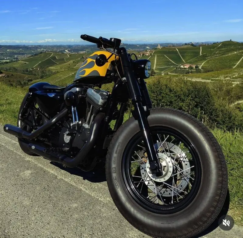 Harley-Davidson 1200 Forty-Eight (2010 - 15) (2)