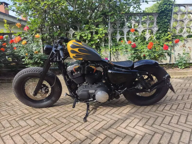 Harley-Davidson 1200 Forty-Eight (2010 - 15) (4)