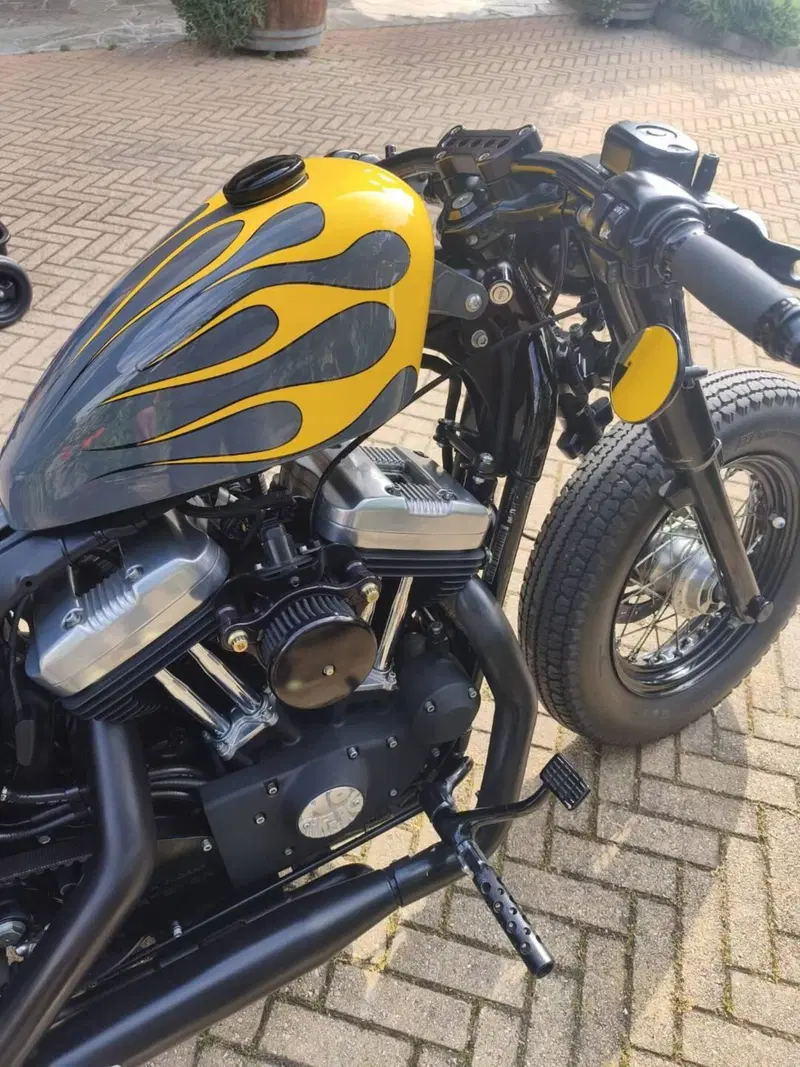 Harley-Davidson 1200 Forty-Eight (2010 - 15) (6)