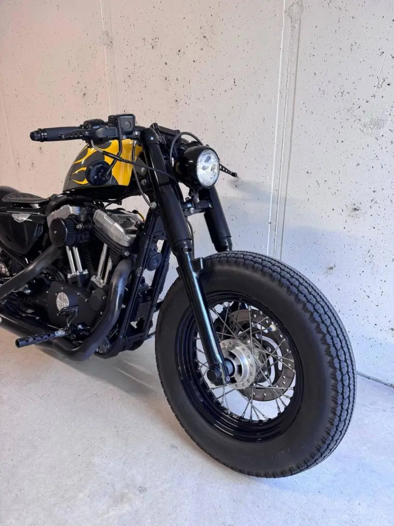 Harley-Davidson 1200 Forty-Eight (2010 - 15) (15)