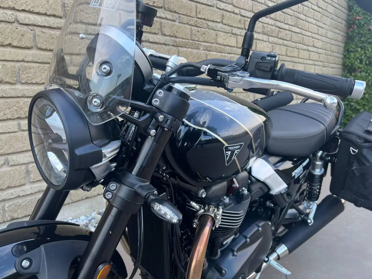 Triumph Speed Twin 900 (2025 - 26) (13)
