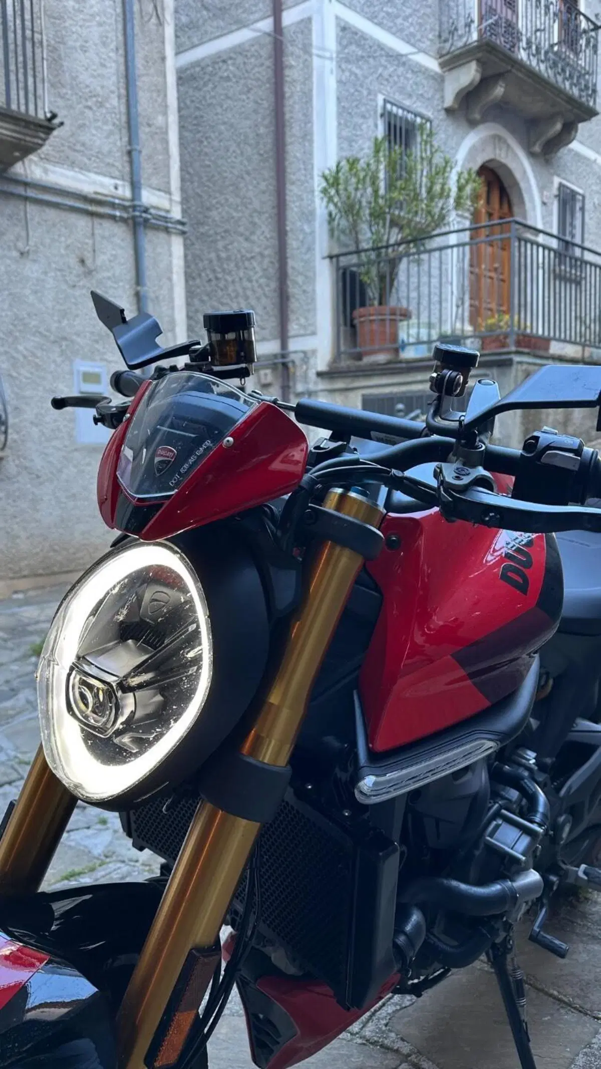 Ducati Monster 937 SP (2023 - 25) (7)