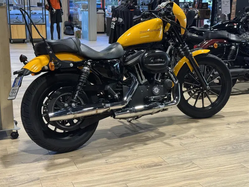 Harley-Davidson 883 Iron (2012 - 14) - XL 883N (6)