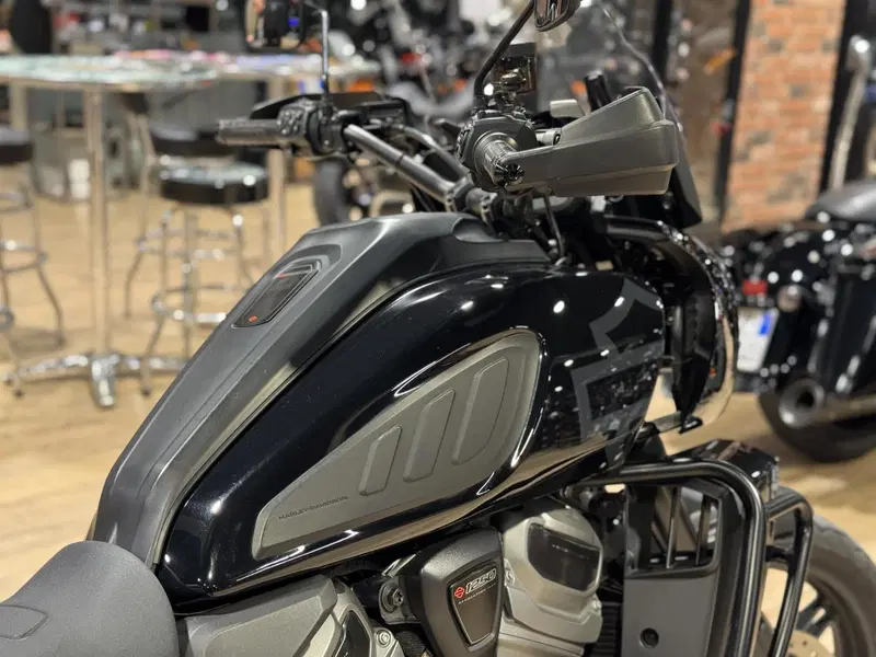 Harley-Davidson Pan America 1250 Special (2020 - 25) (2)