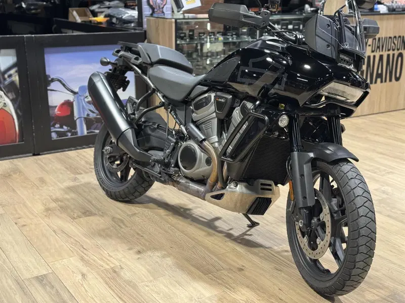 Harley-Davidson Pan America 1250 Special (2020 - 25) (3)