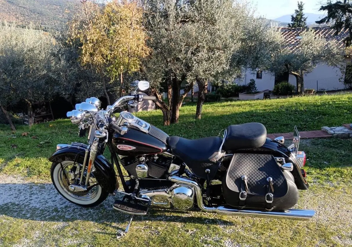 Harley-Davidson 1450 Heritage Springer (2000 - 03) - FLSTS (2)