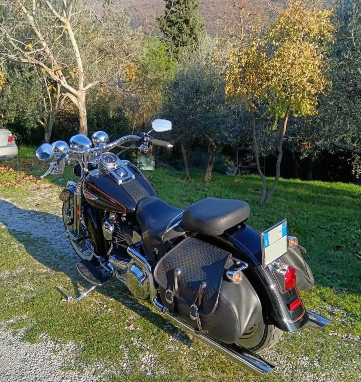Harley-Davidson 1450 Heritage Springer (2000 - 03) - FLSTS (3)