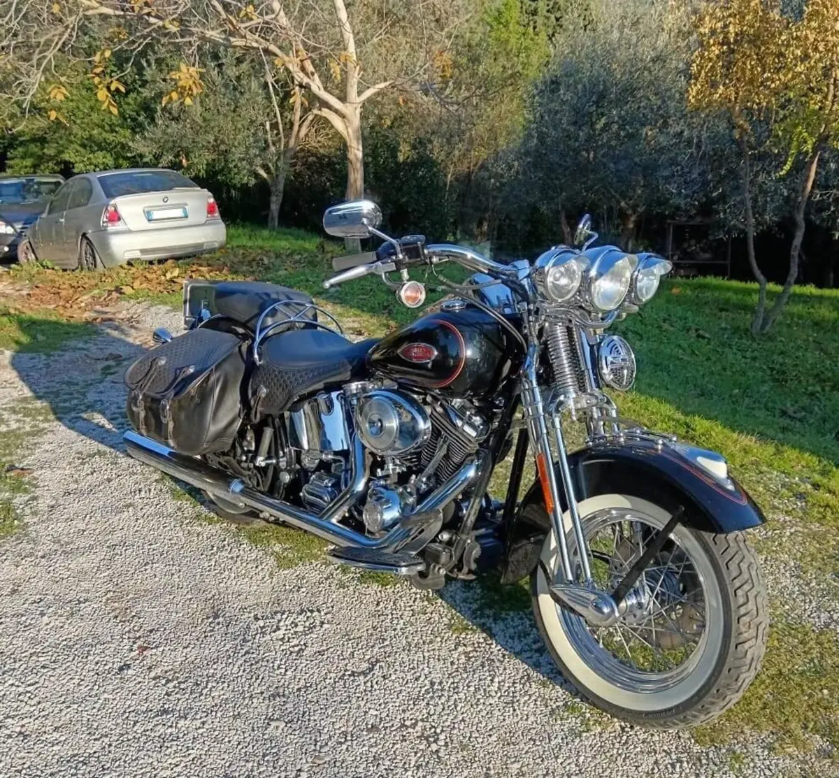 Harley-Davidson 1450 Heritage Springer (2000 - 03) - FLSTS (5)