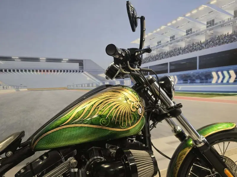 Harley-Davidson 1584 Blackline (2011 - 13) - FXS (14)