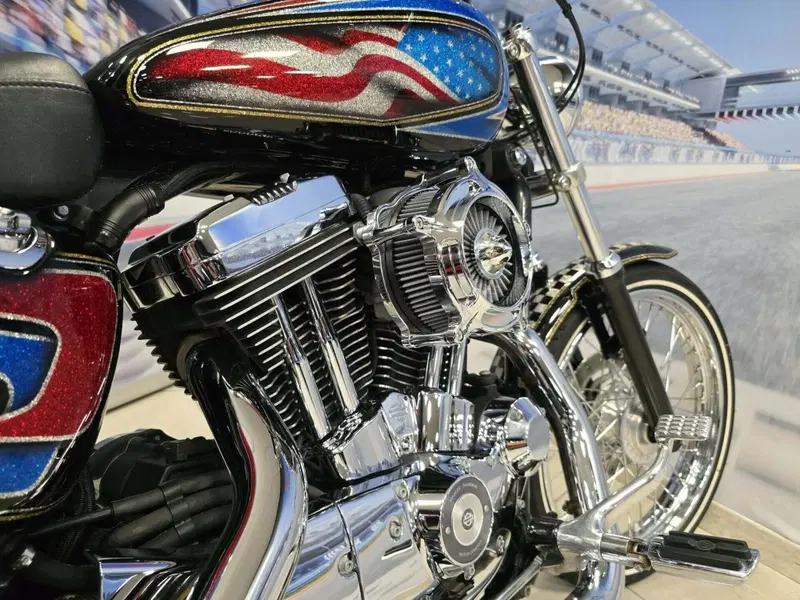 Harley-Davidson 1200 Custom (2004 - 06) - XL 1200C (7)