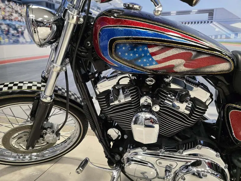 Harley-Davidson 1200 Custom (2004 - 06) - XL 1200C (13)