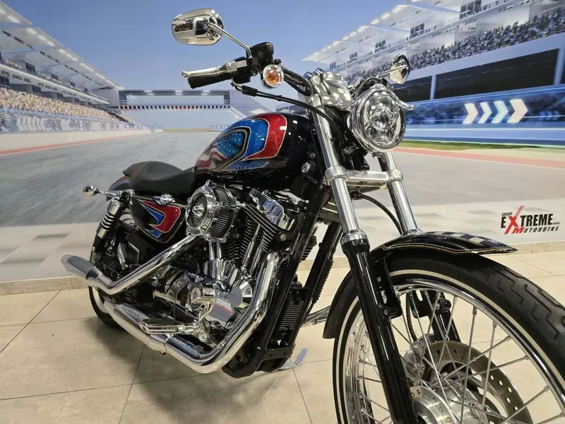 Harley-Davidson 1200 Custom (2004 - 06) - XL 1200C (14)